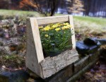 Small flower box with bark side panels Small flower box with bark side panels