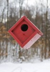 hanging birdhouse hanging birdhouse