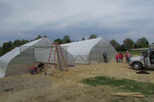Hoop house Construction 2013 014