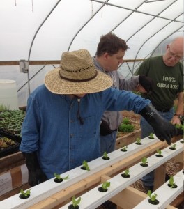 Charley and Christopher help Bob place young seedlings into the system.